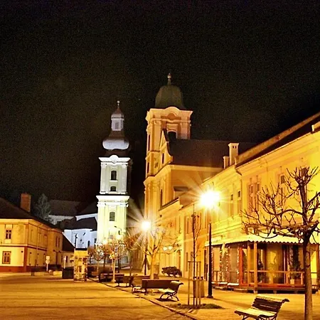 Гостевой дом Farebny Penzion 3*