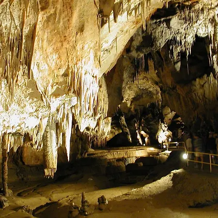 Гостевой дом Farebny Penzion