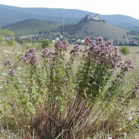Farebny Penzion