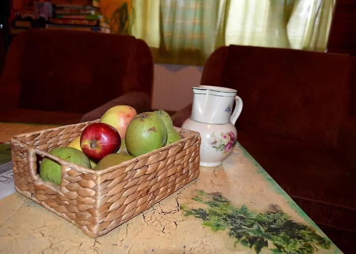 게스트하우스 Farebny Penzion